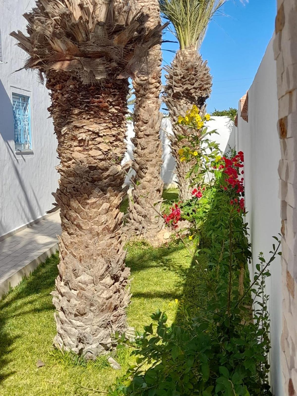 Villa La Palmeraie D'Arkou, Grande Piscine Exterior foto